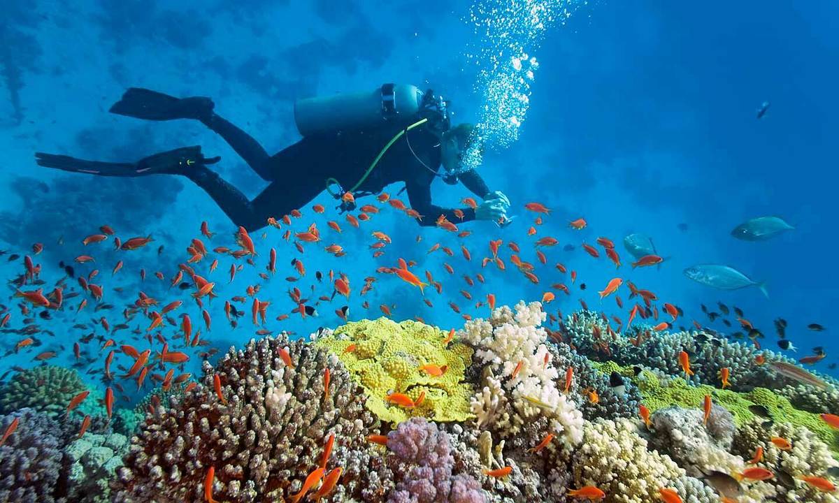Reflect on Nha Trang’s maritime heritage